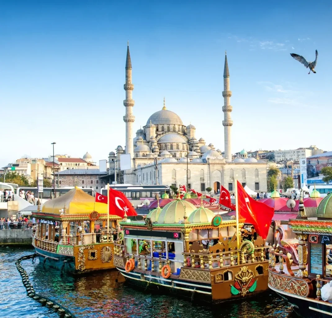 estambul469 22ea6f17389ac6bfe304728c192d2ab1 dnv8ii