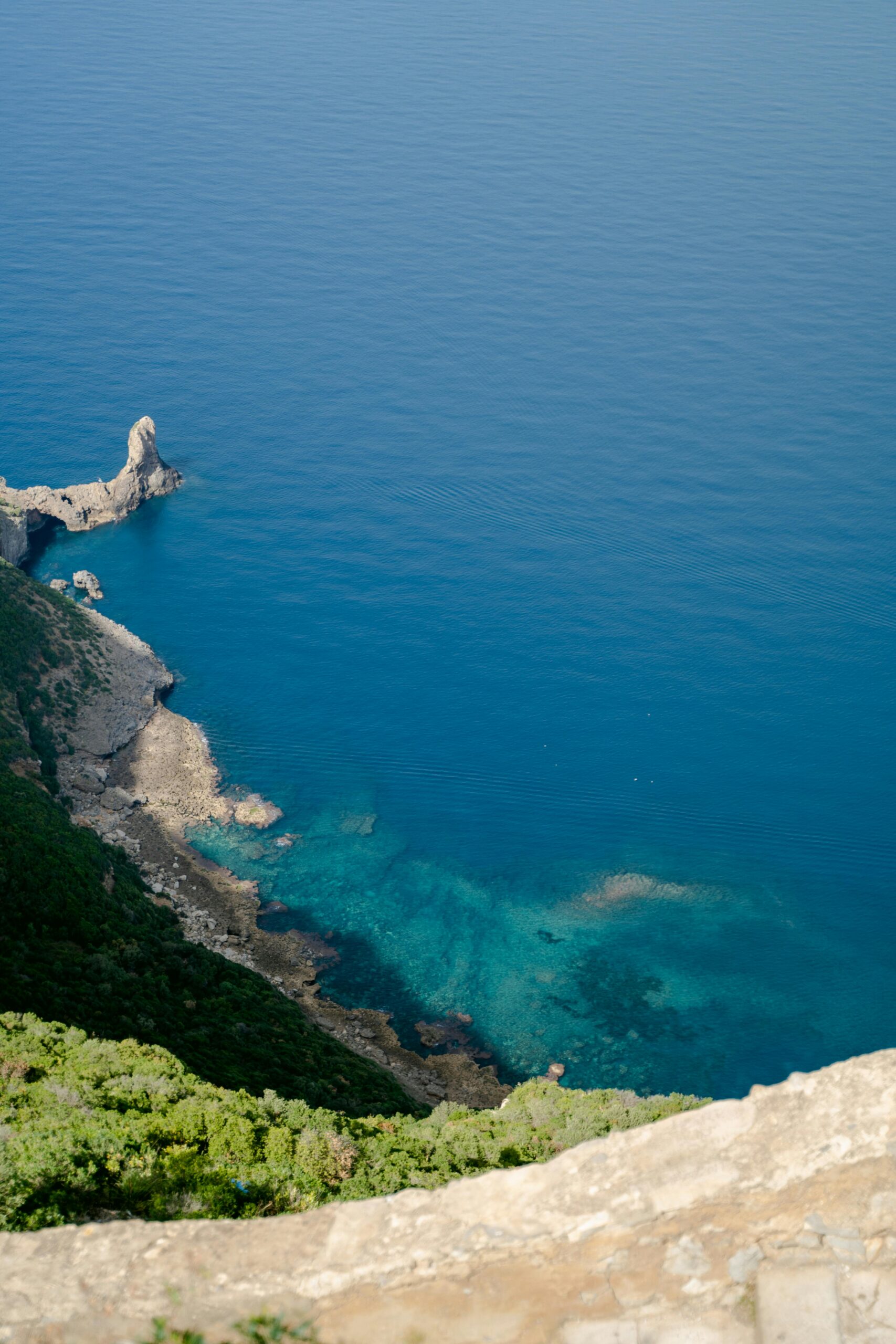 pexels radwanmenzer 14705566